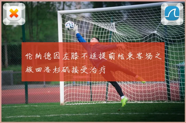 伦纳德因左膝不适提前结束客场之旅回洛杉矶接受治疗
